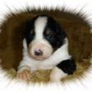 Aiko of Sunshinegarden